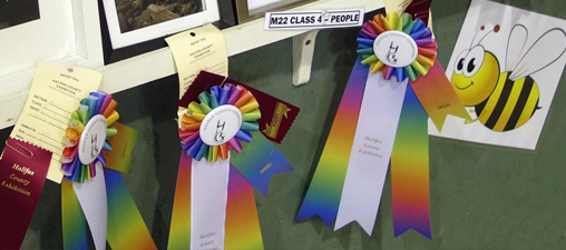 Exhibition Award ribbons