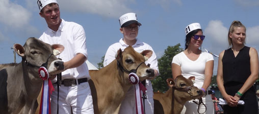 Champion Jersey cow standing with owners. 